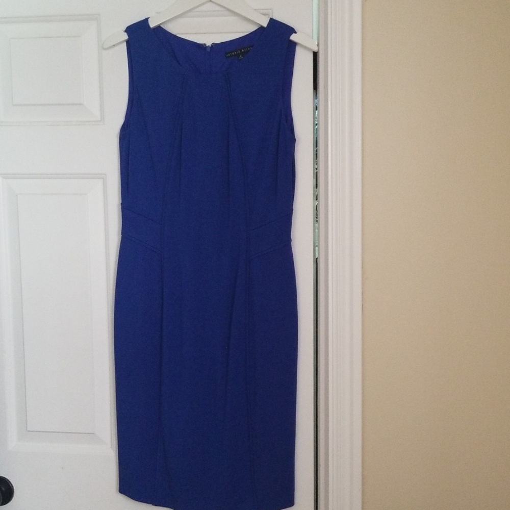 Antonio Melanie Shelly dress